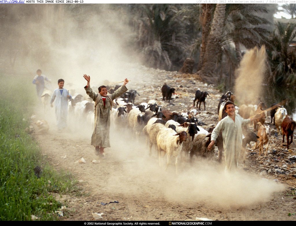 Young Goatherds (in National Geographic Photo Of The Day 2001-2009)