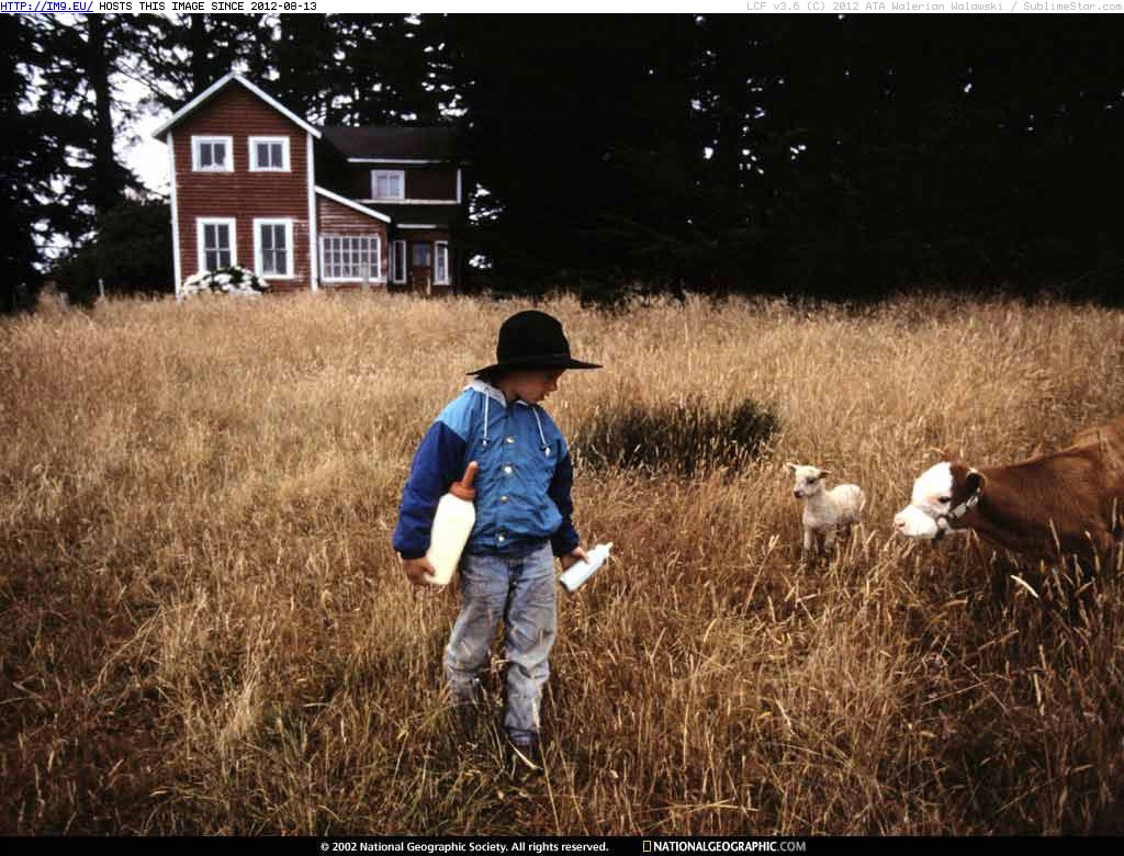 Young Livestock Trainer (in National Geographic Photo Of The Day 2001-2009)