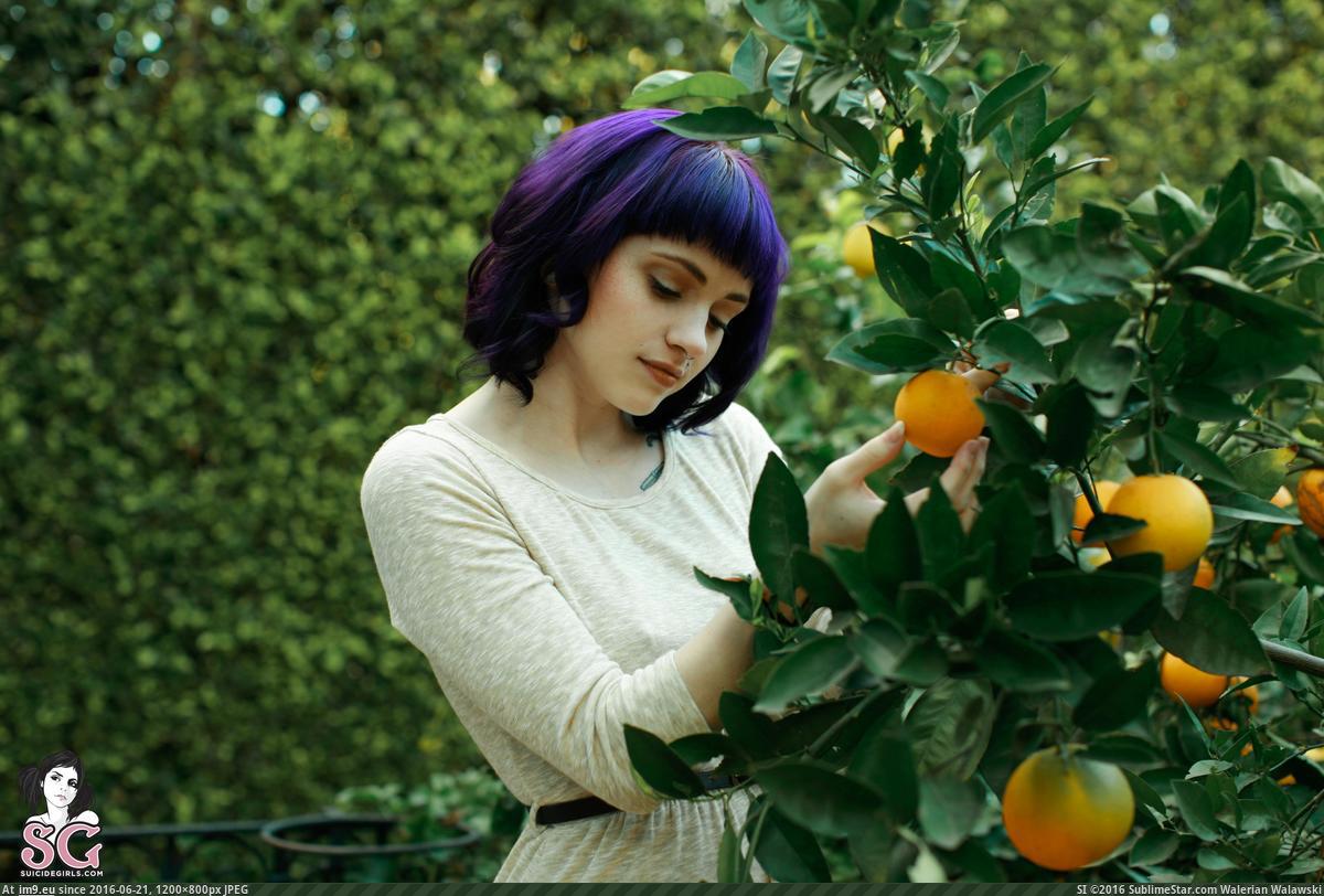 #Porn #Tits #Hot #Emo #Yugen #Arethusa #Sexy #Boobs #Suicidegirls yugen-arethusa-01 Pic. (Obraz z album SuicideGirlsNow))