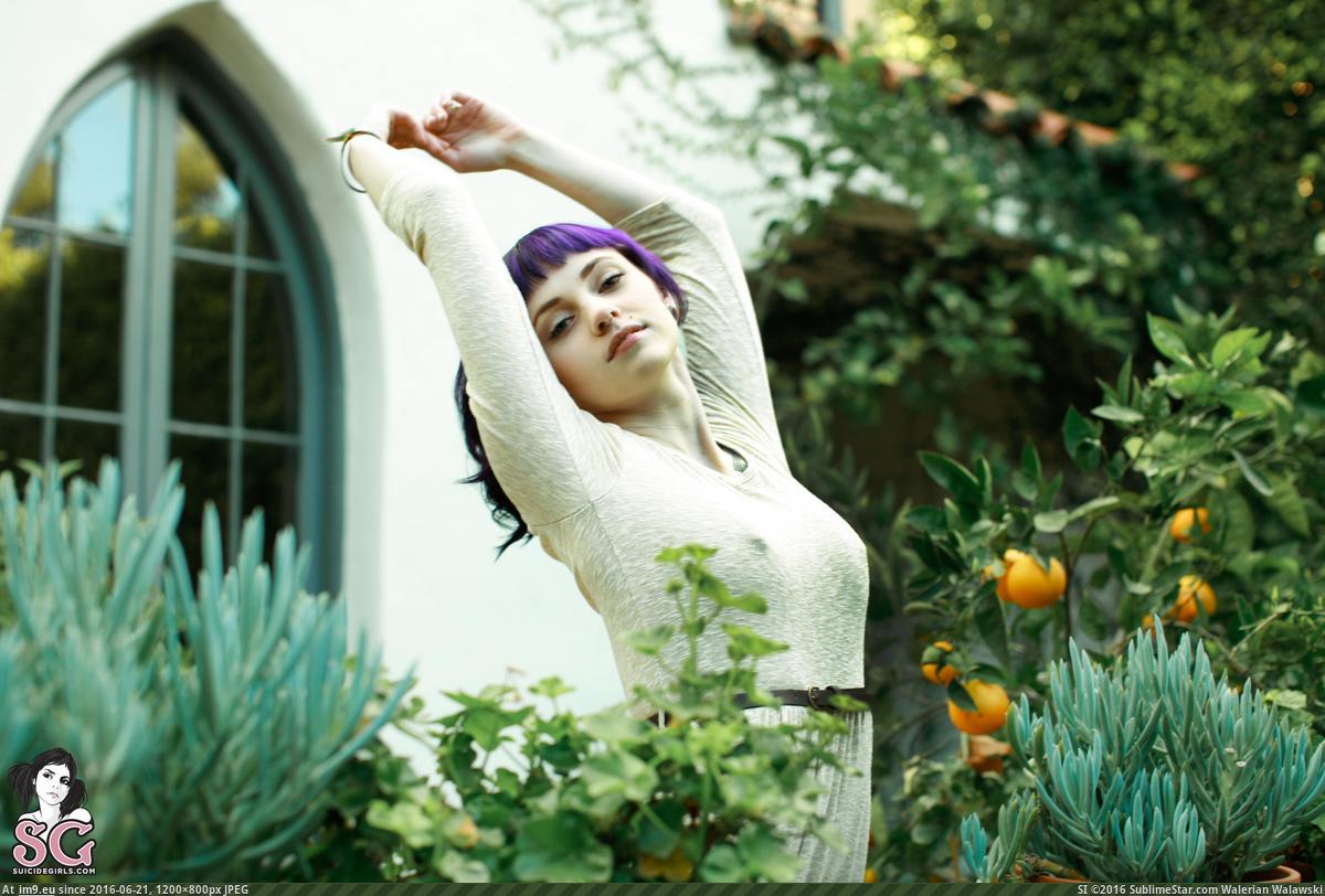 #Hot #Sexy #Boobs #Suicidegirls #Yugen #Arethusa #Girls #Softcore #Nature yugen-arethusa-11 Pic. (Изображение из альбом SuicideGirlsNow))