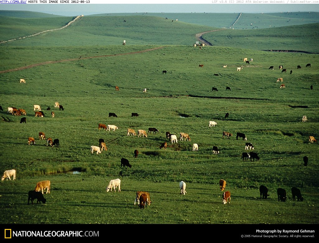 Z Bar Spring Hill Ranch (in National Geographic Photo Of The Day 2001-2009)
