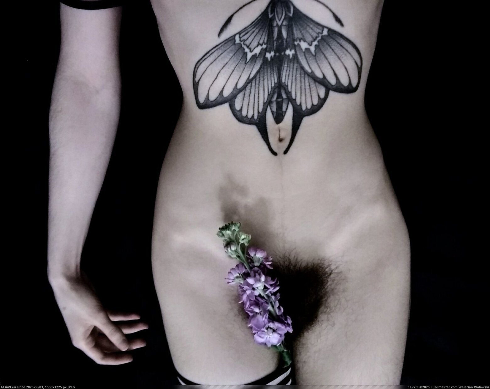 ZtMlgDyj (in Ms. Rosie Wilde, Rosie Levine, Rosie Manhattan nude)